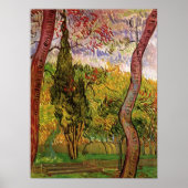 セントポール病院の庭園ビンセント・ヴァン・ゴッホ ポスター (正面)