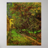 セントポール病院の庭園ビンセント・ヴァン・ゴッホ ポスター (正面)