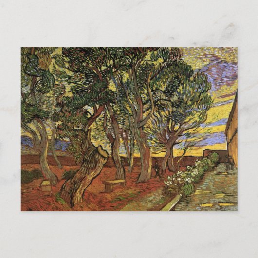 セントポール病院の庭園ビンセント・ヴァン・ゴッホ ポストカード (正面)