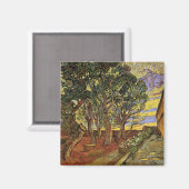 セントポール病院の庭園ビンセント・ヴァン・ゴッホ マグネット (正面/裏面)