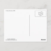 セントポール（ミネソタ州）、1896ヴィンテージ ポストカード (裏面)