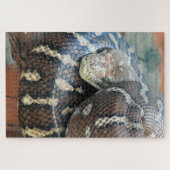 セントラリアンカーペットパイソン ジグソーパズル (横)