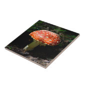 セントラルカスカズズワシントン州 タイル (側面)