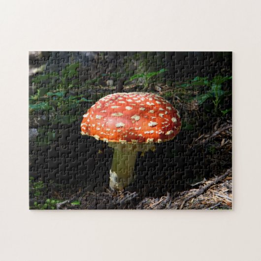 セントラルカスケーズワシントン州 ジグソーパズル (横)