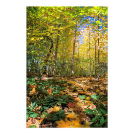 セントラルカラフルパークビューフォトプリント フォトプリント           