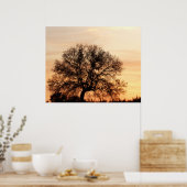 セントラルテキサス州サンセット ポスター (キッチン)