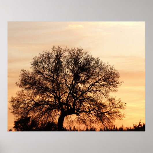 セントラルテキサス州サンセット ポスター (正面)