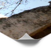 セントラルテキサス州ビュー ポスター (角)