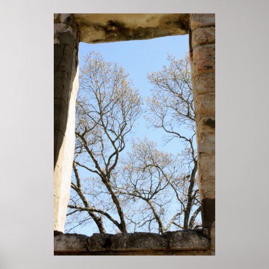 セントラルテキサス州ビュー ポスター (正面)