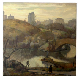 セントラルパークのシーン（ニューヨーク，アメリカ） タイル