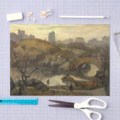 セントラルパークのシーン（ニューヨーク，アメリカ） 薄葉紙 (クラフト)