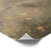 セントラルパークのベセスダ噴水写真 ポスター (角)