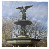 セントラルパークの乾いた冬のベセスダの泉 タイル (正面)