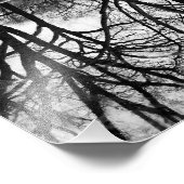 セントラルパークの冬の木の反射 フォトプリント            (角)