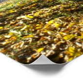 セントラルパークの木と橋 ポスター (角)