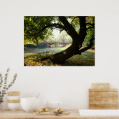 セントラルパークの木と橋 ポスター (キッチン)