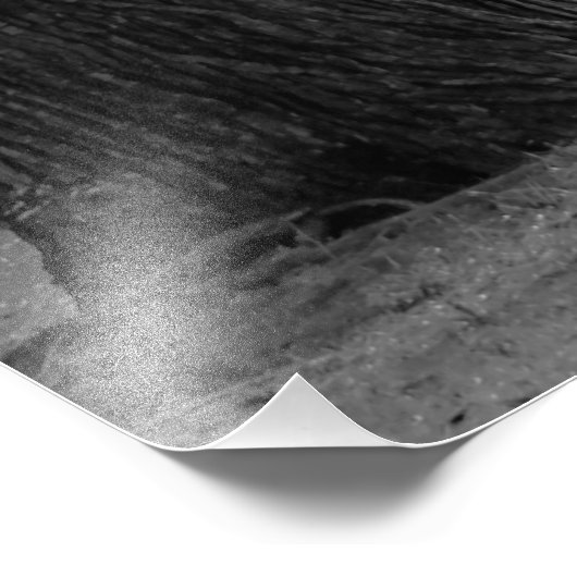 セントラルパークの白と黒の風景 フォトプリント            (角)