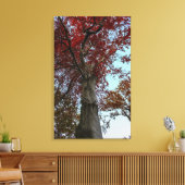 セントラルパークの美しい秋の木 キャンバスプリント (インサイチュ (リビング))