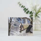 セントラルパークの雪に覆われた冬季馬車の馬 ポストカード (スタンド正面)