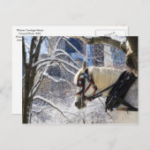 セントラルパークの雪に覆われた冬季馬車の馬 ポストカード (正面/裏面)
