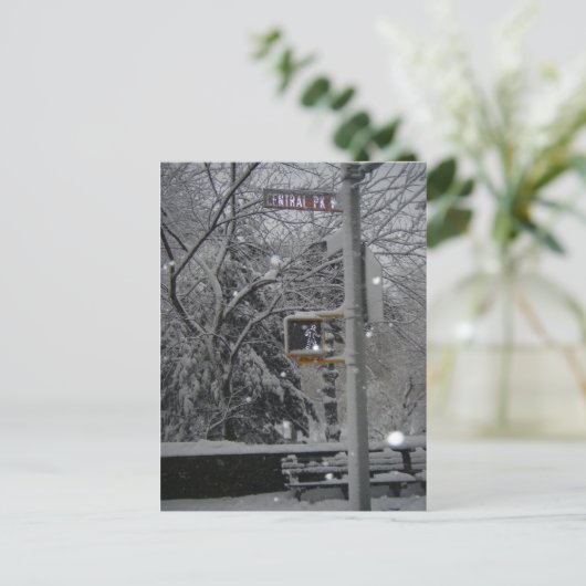 セントラルパークウェストニューヨークシティスノーナイズブリザード ポストカード (スタンド正面)