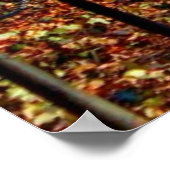 セントラルパークコンサーバトリーランドスケープ写真 ポスター (角)