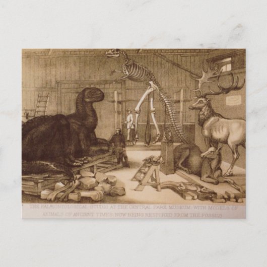 セントラルパークスタジオベンジャミンウォーターハウスホーキンズ ポストカード (正面)