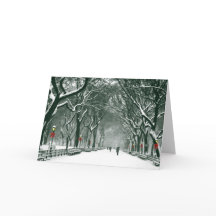 セントラルパークスノーウィーパス