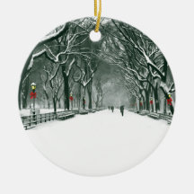 セントラルパークスノーウィーパス