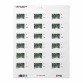 セントラルパークスノーウィーパス ラベル (フルシート)