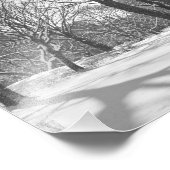 セントラルパークスノーフォールB&W フォトプリント            (角)