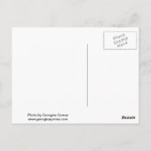 セントラルパークツリー ポストカード (裏面)