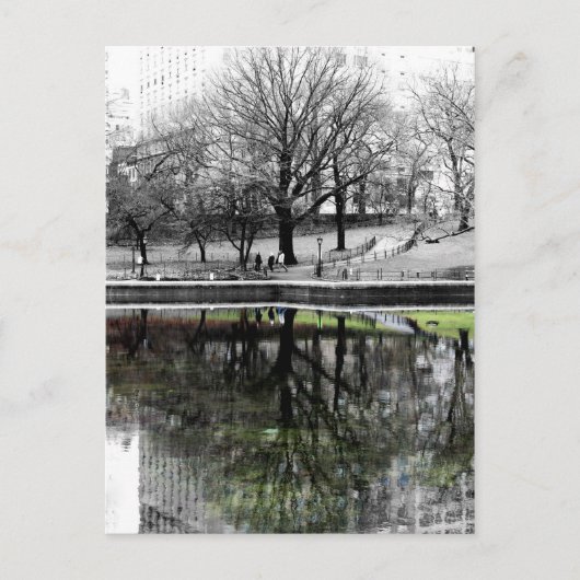 セントラルパークツリー ポストカード (正面)