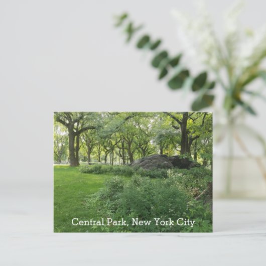 セントラルパークニューヨークサマーグリーンシーニックビュー ポストカード (スタンド正面)