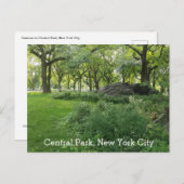 セントラルパークニューヨークサマーグリーンシーニックビュー ポストカード (正面/裏面)