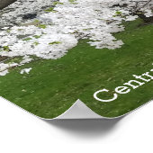 セントラルパークニューヨークパリーミングツリーイン春 ポスター (角)