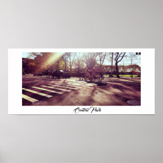 セントラルパークニューヨークポスター ポスター