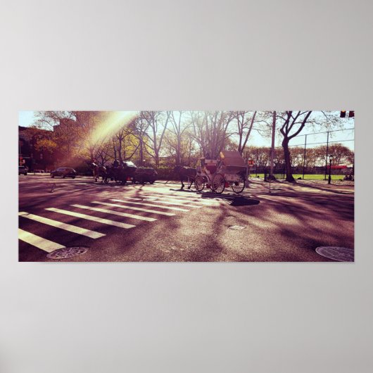 セントラルパークニューヨーク ポスター (正面)