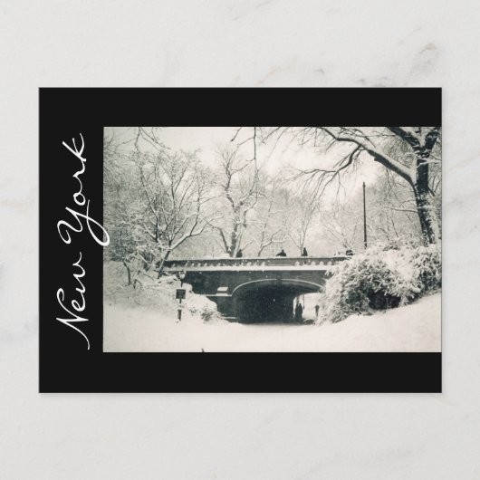 セントラルパークニューヨーク ポストカード (正面)