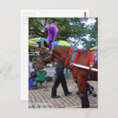 セントラルパークホース ポストカード (正面/裏面)