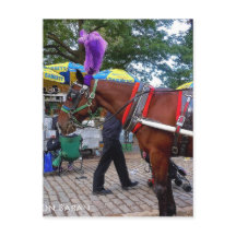 セントラルパークホース