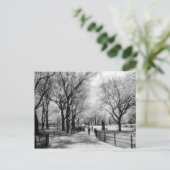 セントラルパークポストカード ポストカード (スタンド正面)