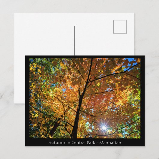 セントラルパークマンハッタンポストカード ポストカード (正面/裏面)