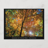 セントラルパークマンハッタンポストカード ポストカード (正面)