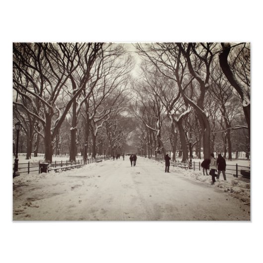 セントラルパークモール フォトプリント            (正面)