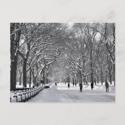 セントラルパークモールB&W ポストカード (正面)