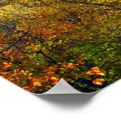 セントラルパークレイクビュー2006 ポスター (角)