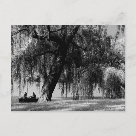 セントラルパークローボーツ ポストカード (正面)