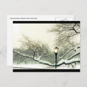 セントラルパーク冬樹 ポストカード (正面/裏面)