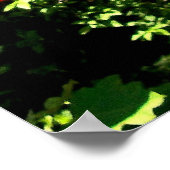 セントラルパーク動物園 ポスター (角)